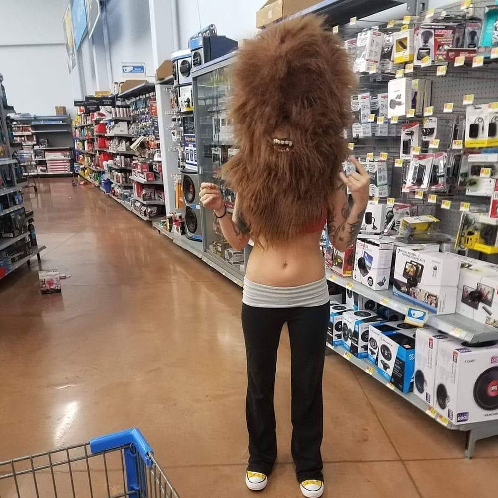 Meet your Posher, Lillie